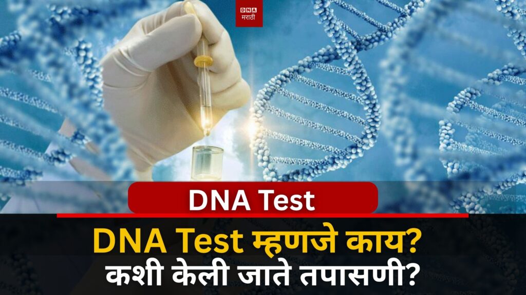 What is a DNA test? How is the test done?