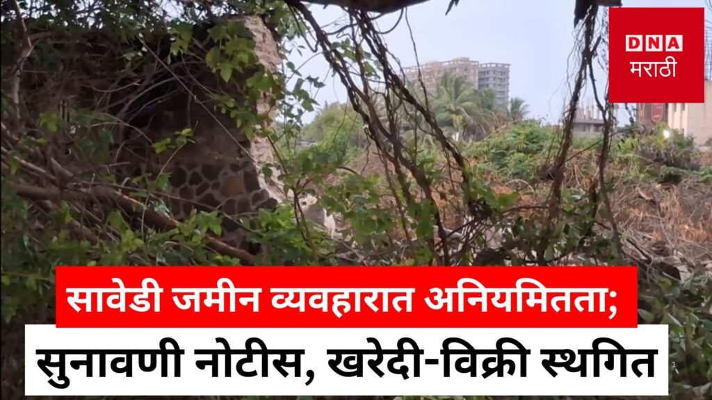 land scam sawedi