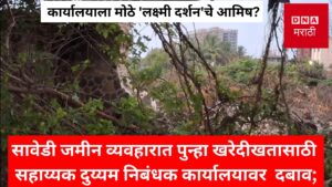 sawedi land