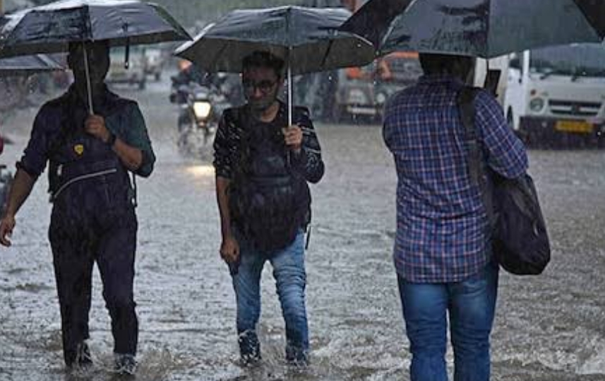rain alert