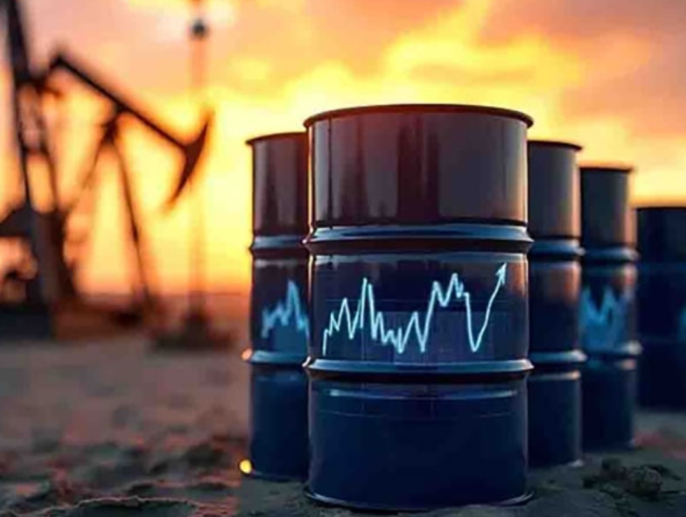 iea report